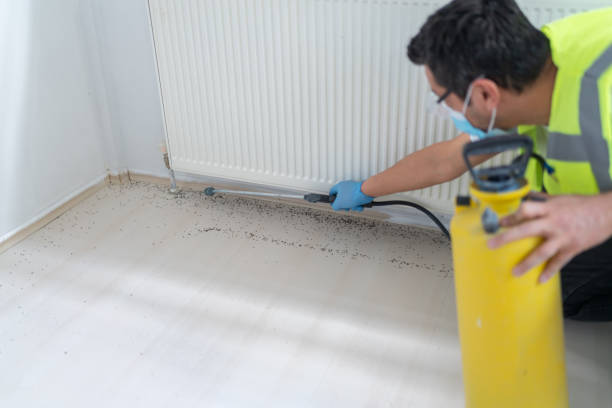 Best Pest Control for Homes  in Bear Creek, AK