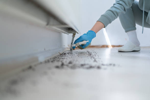 Best Commercial Pest Control Services  in Bear Creek, AK